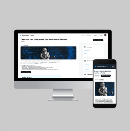 Vision: Twitter Developer Platform